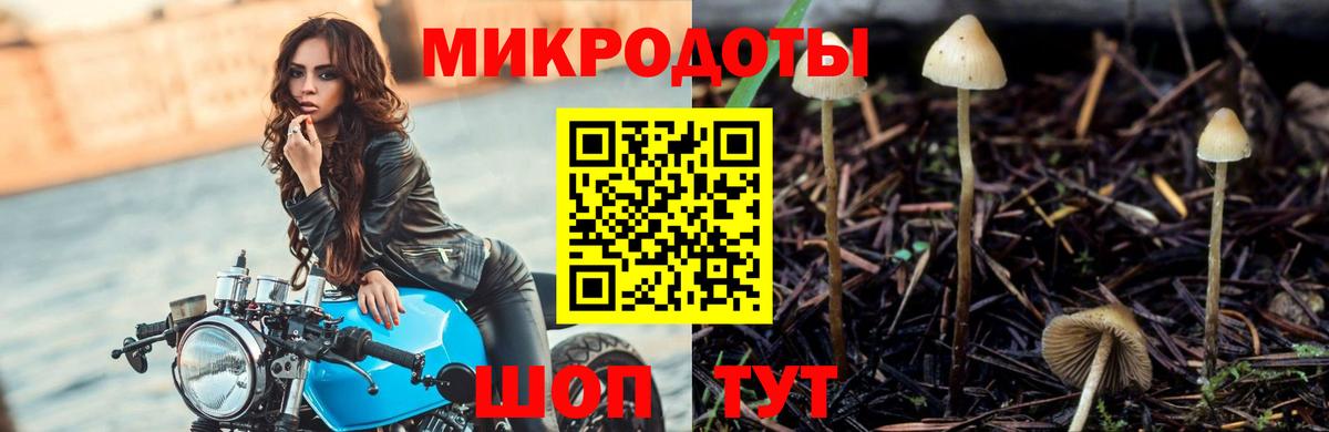 Галлюциногенные грибы мицелий Ангарск