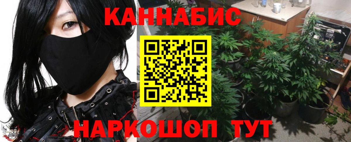 Конопля сатива Ангарск